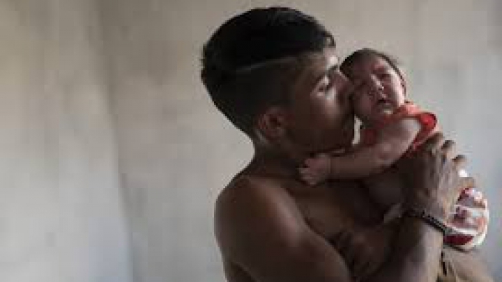 Organizația Mondială a Sănătății avertizează: Epidemia de Zika se poate agrava