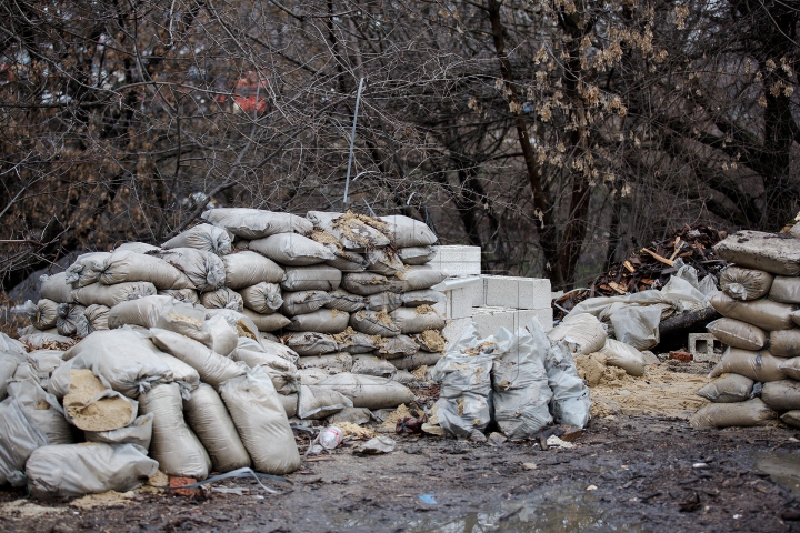 Ce se întâmplă pe malurile râului Bâc este de-a dreptul revoltător (FOTOREPORT)