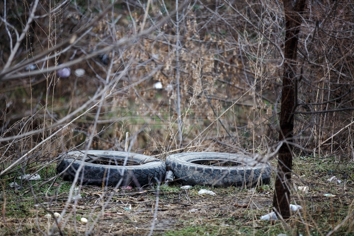 Ce se întâmplă pe malurile râului Bâc este de-a dreptul revoltător (FOTOREPORT)