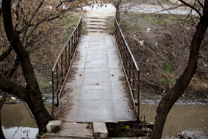 Ce se întâmplă pe malurile râului Bâc este de-a dreptul revoltător (FOTOREPORT)