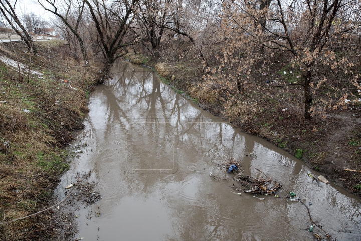 Ce se întâmplă pe malurile râului Bâc este de-a dreptul revoltător (FOTOREPORT)