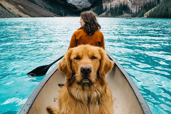 VIRAL pe Internet! Pozele unui câine a stârnit interesul internauţilor