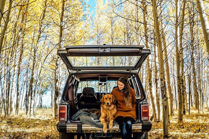 VIRAL pe Internet! Pozele unui câine a stârnit interesul internauţilor