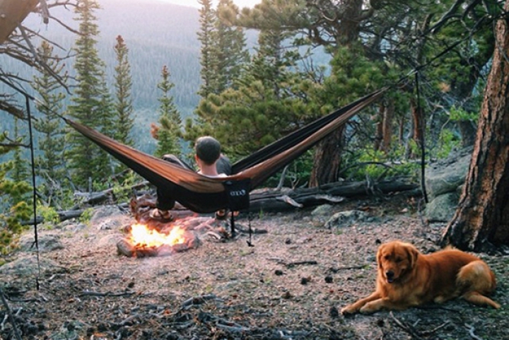 VIRAL pe Internet! Pozele unui câine a stârnit interesul internauţilor