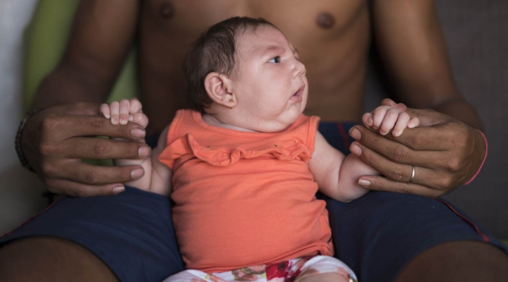 Organizaţia Mondială a Sănătăţii: Zika a devenit un PERICOL la SCARĂ GLOBALĂ