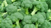 ESTE BINE SĂ ȘTII! Ce proprietăți și beneficii oferă broccoli sănătății