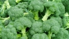 Consumul regulat de broccoli oferă protecţie împotriva mai multor tipuri de cancer