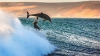 Surpriză pe cinste! Un delfin sălbatic i s-a alăturat unui surfer (VIDEO)