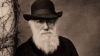 NO COMMENT: Charles Darwin și-ar fi putut "folosi" copiii pentru cercetări științifice
