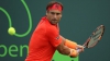 Eliminare surprinzătoare la Miami Open: David Ferrer a cedat în trei seturi în fața lui Lucas Pouille