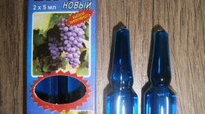 Reprezentant oficial: Insecticidele BI-58, vândute în fiole pe teritoriul ţării, sunt CONTRAFĂCUTE