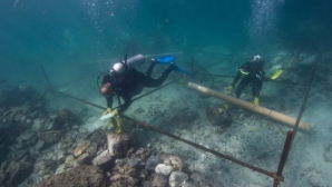 A găsit o corabie veche de 500 de ani în timp ce făcea scufundări. Ce a descoperit este de-a dreptul uimitor