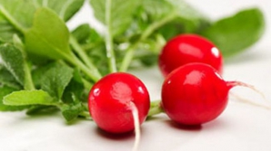 Delicatesă de primăvară! Ridichile, extrem de sănătoase şi benefice pentru organism 