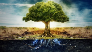 HOROSCOP: Zodia în care te-ai născut îți dezvăluie destinul, scris în Pomul Vieții