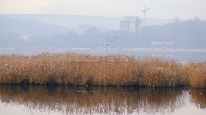 METEO 14 martie 2016. Vremea se menţine răcoroasă, dar fără precipitaţii