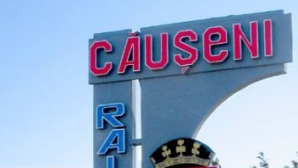 PRĂPĂD la Căuşeni! Mistreţii DISTRUG culturile, iar localnicii SUNT ÎNGRIJORAŢI de ce se întâmplă 