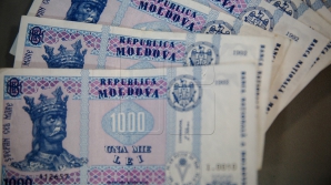 Salarii mai mari pentru moldoveni în 2017. Angajații din domeniul IT ridică onorarii de peste 12 mii de lei
