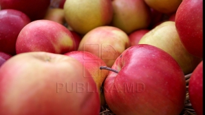 VESTE ÎMBUCURĂTOARE pentru producătorii de fructe, afectați de embargoul impus de Rusia în 2014 