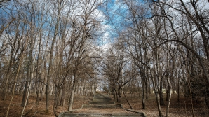 Vremea se încălzește. Meteorologii anunță când ar putea să plouă