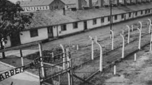 "Noaptea, ucideai sau erai ucis!" MĂRTURII CUTREMURĂTOARE din lagărele naziste