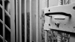 Riscă 15 ani de închisoare. Câţi bani cerea de la clienţi un proxenet prins în FLAGRANT (VIDEO)