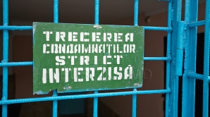 Și-a violat fiica minoră. SENTINȚĂ pentru un bărbat din Telenești