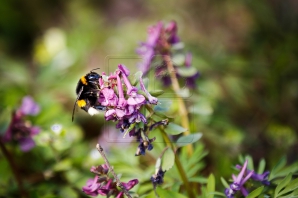 Pregătiţi costumele de baie, vine vara! Săptămâna începe cu vreme numai bună pentru plajă