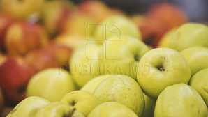 Rusia ÎNĂSPREŞTE regulile de import al merelor şi perelor din Moldova