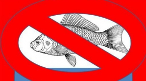 Intră în vigoare PERIOADA DE PROHIBIŢIE la pescuit. Lista bazinelor acvatice care cad sub incidenţă