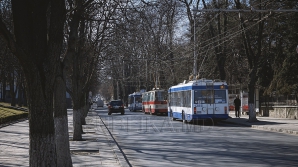 DATE STATISTICE: Chişinăuienii "au migrat" spre troleibuze. Creştere în profitul RTEC
