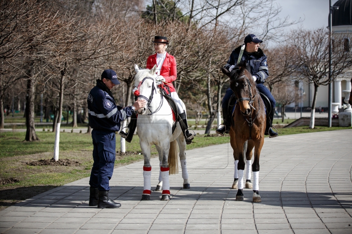 Călare pe cai, cu flori și felicitări, polițiștii au adus zâmbete femeilor din Chișinău (FOTOREPORT)