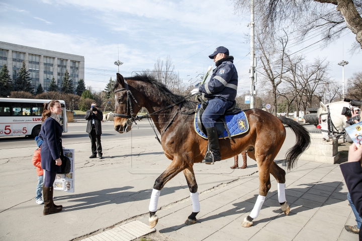 Călare pe cai, cu flori și felicitări, polițiștii au adus zâmbete femeilor din Chișinău (FOTOREPORT)