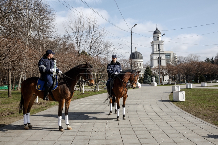 Călare pe cai, cu flori și felicitări, polițiștii au adus zâmbete femeilor din Chișinău (FOTOREPORT)