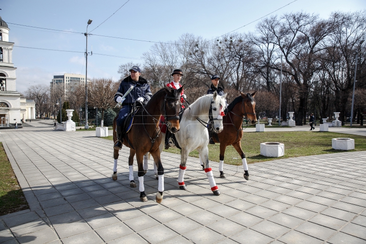 Călare pe cai, cu flori și felicitări, polițiștii au adus zâmbete femeilor din Chișinău (FOTOREPORT)