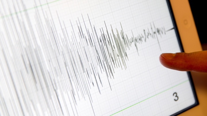 CUTREMUR în Vrancea! Câte grade pe scara Richter a avut seismul