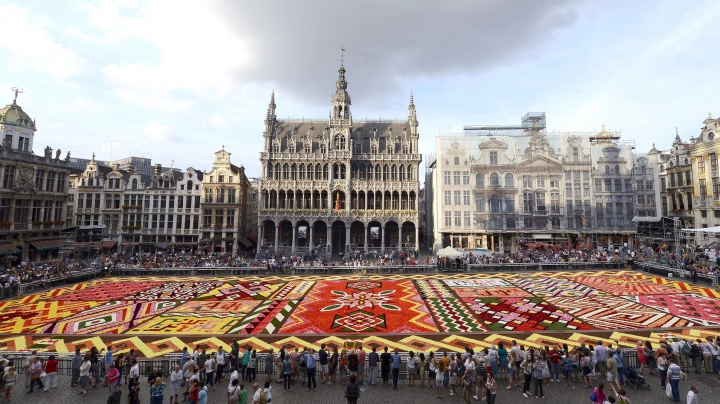 150 de ani de prietenie belgiano-japoneză! Piaţa Grand-Place, acoperită de un imens covor de flori