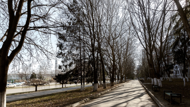 METEO 4 aprilie. "Prierul" aduce temperaturi generoase în termometre