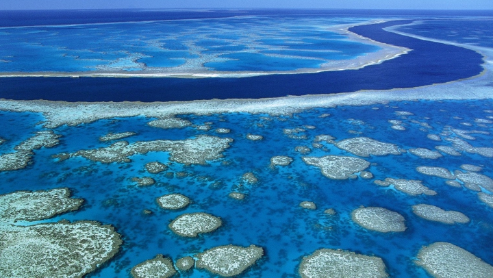 ALERTĂ! Mai multe ONG-uri au cerut autorităţilor să se implice activ împotriva încălzirii globale