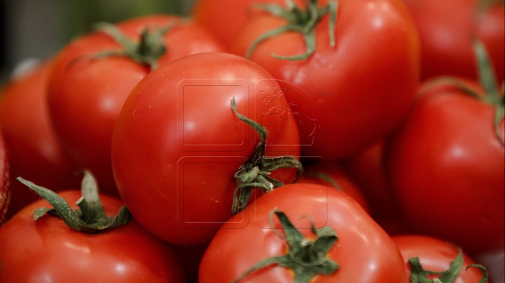 Vom avea comerţ liber cu Turcia. Cum vor fi protejaţi producătorii de tomate moldoveneşti