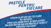 Campania "Paştele pentru fiecare" a ajuns la Floreşti. Deputaţii democraţi au mers în sate să ajute oamenii