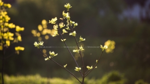 METEO 29 aprilie. Vreme frumoasă în toată ţara. Câte grade vom avea în termometre
