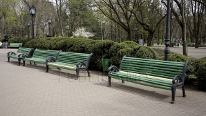 Băncile din parcurile din Capitală vor fi REPARATE. Bugetul alocat pentru renovarea acestora