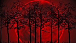 SEMNIFICAȚII UIMITOARE: Ce înseamnă dacă visezi sânge