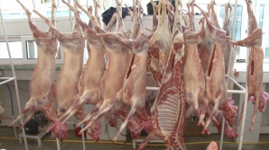 UTIL: Cum deosebești carnea de miel de cea de câine