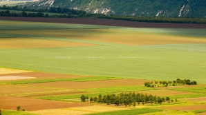 ÎMBUCURĂTOR! Va fi implementat un nou proiect pentru îmbunătăţirea sectorului agricol din ţara noastră 