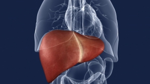Bine de știut! Băuturi care detoxifică ficatul și ard grăsimile