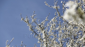 METEO 9 APRILIE: Vremea se răceşte. Câte grade vom avea în termometre în acest weekend