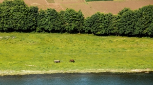 Este important să știi! Cum va fi vremea de Paște 