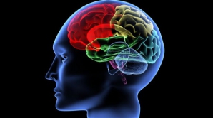 UTIL: Șapte obiceiuri sănătoase care îți îmbunătățesc memoria