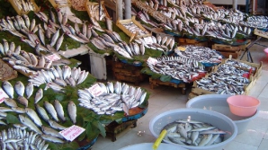 Ortodocşii postitori au făcut cozi la tarabele cu peşte. Comercianţii AU MAJORAT preţurile